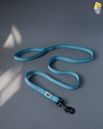 Rubber Grip Leash - Blue