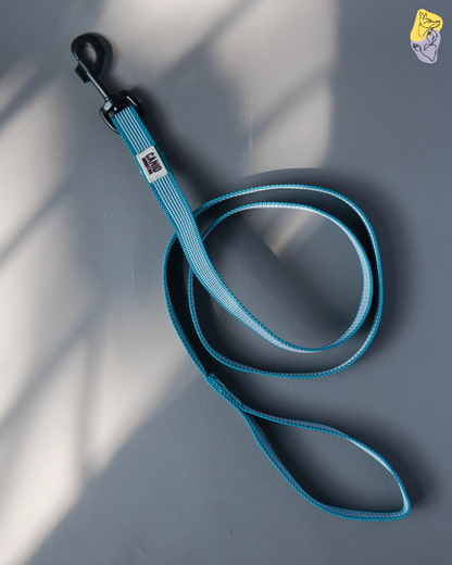 Rubber Grip Leash - Blue