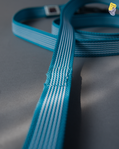 Rubber Grip Leash - Blue
