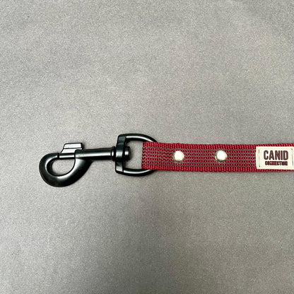 Short Tab - Straight