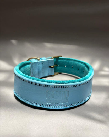 The OG Collar - Leather